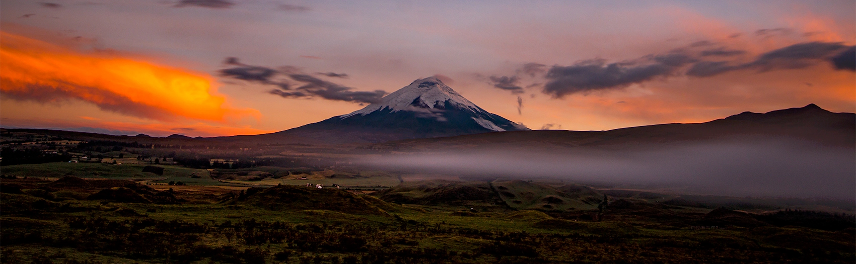 Contact christian counseling