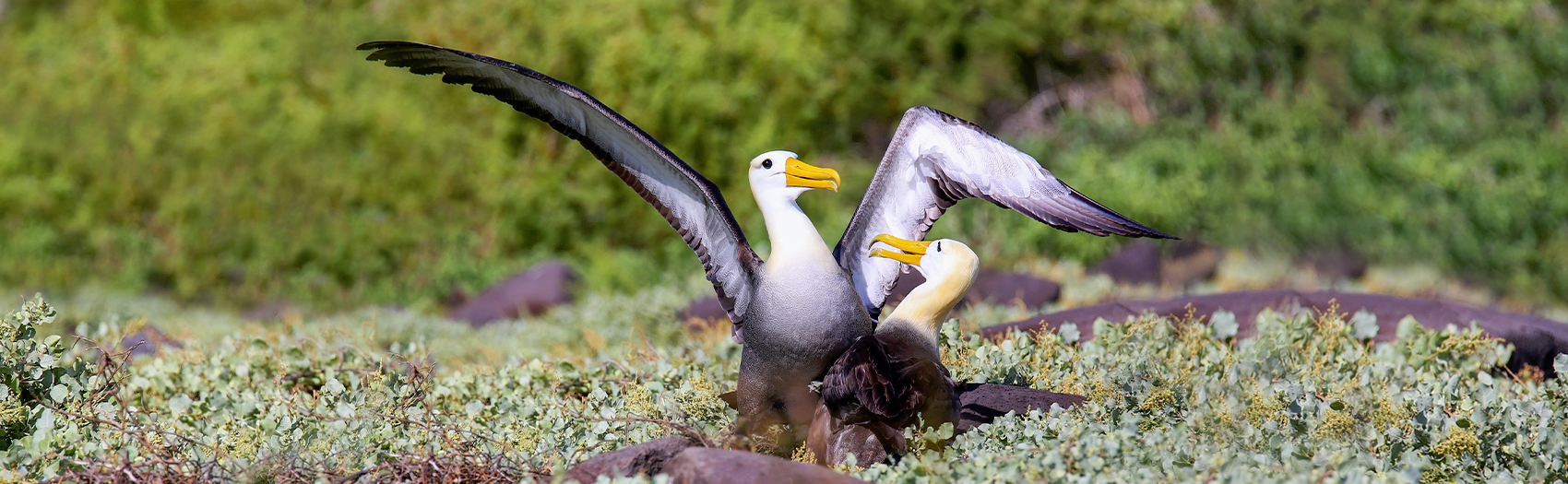 Couples Therapy Orlando